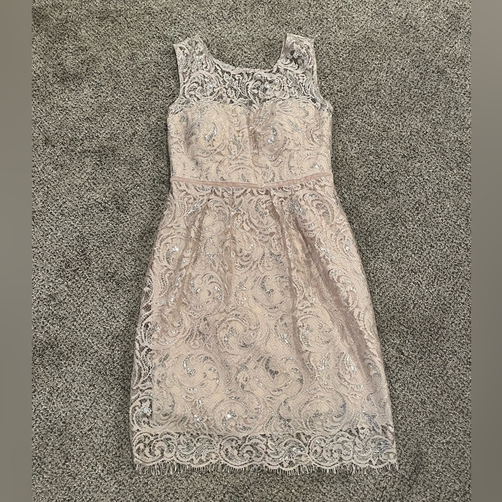 Jenny Yoo Sandstone Metallic Lace Harlow Dress Women’s Size 2